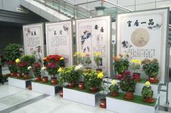 开云体育下载-关于球队后勤保障周到，让球员尽展所长，全心备战的信息