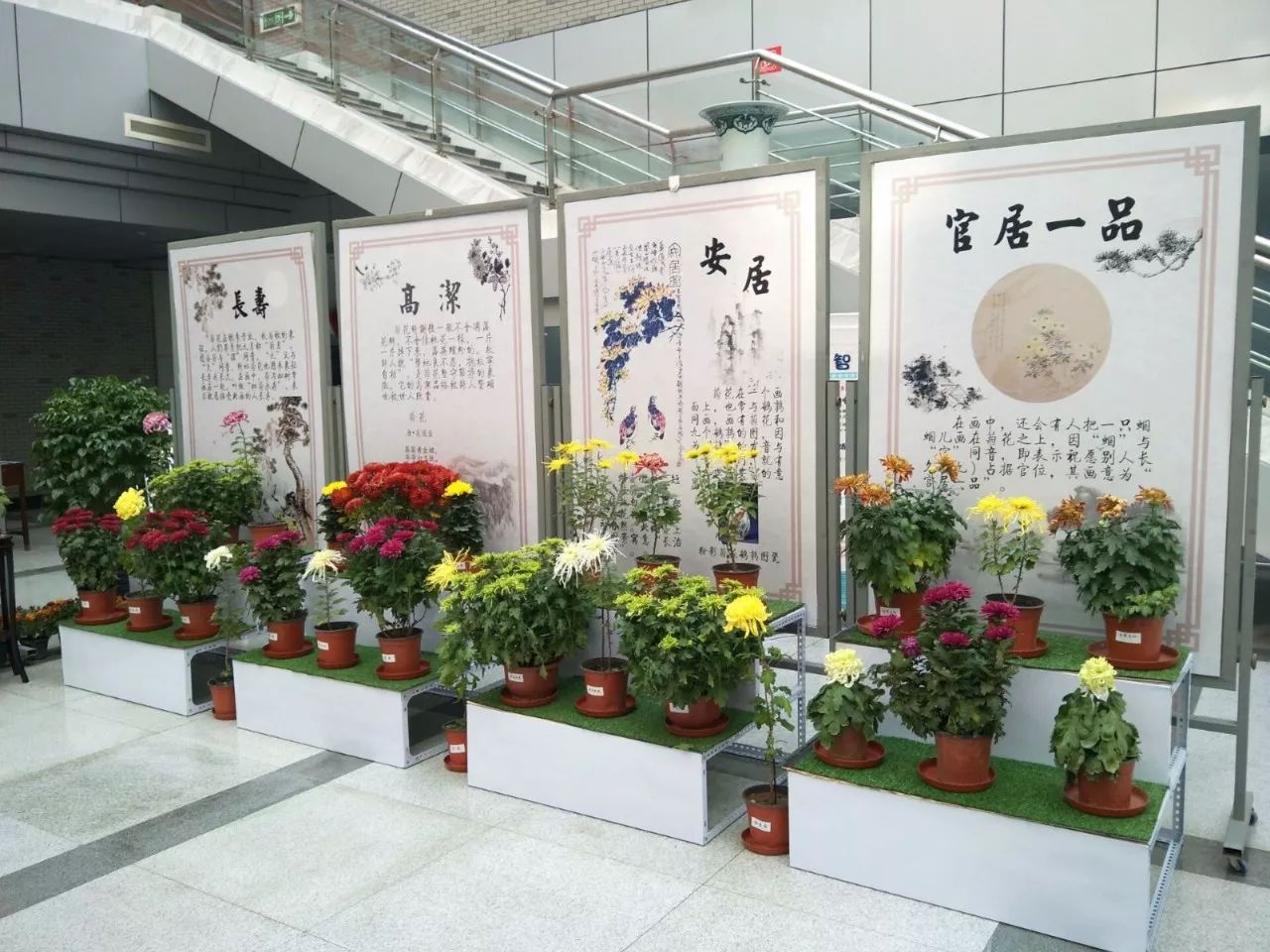 关于球队后勤保障周到，让球员尽展所长，全心备战的信息