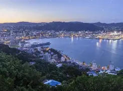 惠灵顿凤凰,加拉克挑战西服 惠灵顿凤凰,加拉克挑战西服