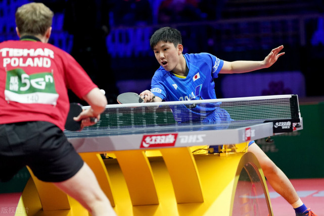 波兰乒乓球队轻取奥地利乒乓球队，许昕打破历史纪录的简单介绍